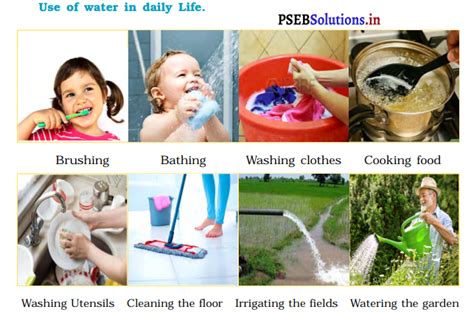 Chapter 13.05 WATER SERVICES .